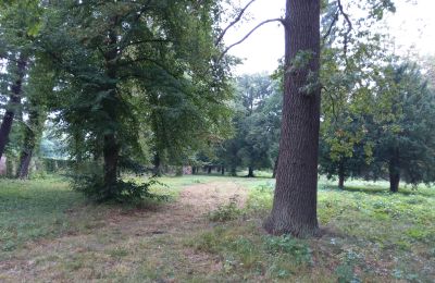 Parque histórico en venta Iłowa, Kolejowa 11, Lubusz, Imagen 13/17