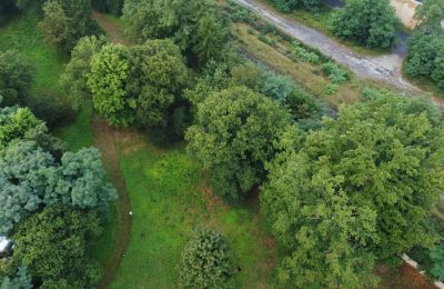 Parque histórico en venta Iłowa, Kolejowa 11, Lubusz, Imagen 16/17