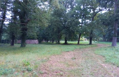 Parque histórico en venta Iłowa, Kolejowa 11, Lubusz, Imagen 4/17