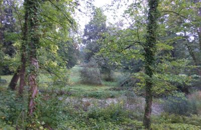 Parque histórico en venta Iłowa, Kolejowa 11, Lubusz, Imagen 6/17