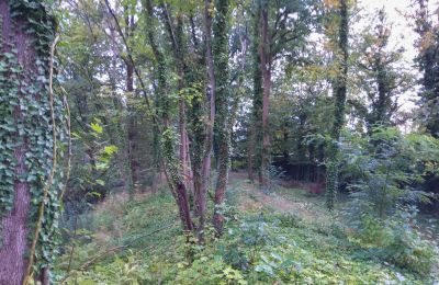 Parque histórico en venta Iłowa, Kolejowa 11, Lubusz, Imagen 7/17