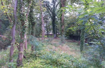 Parque histórico en venta Iłowa, Kolejowa 11, Lubusz, Imagen 9/17