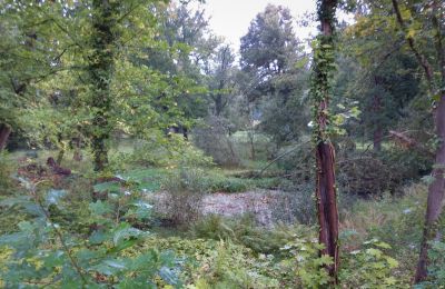 Parque histórico en venta Iłowa, Kolejowa 11, Lubusz, Imagen 10/17