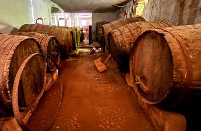 Palacio urbano en venta Ribera, Roma 37, Sicilia, Bodega