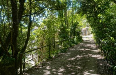 Molino en venta Cortona, strada provinciale 34, Toscana, Imagen 9/35