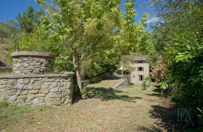Molino en venta Cortona, strada provinciale 34, Toscana, Imagen 10/35