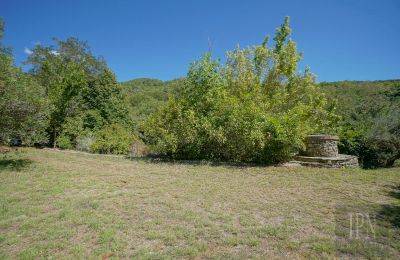 Molino en venta Cortona, strada provinciale 34, Toscana, Imagen 11/35
