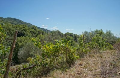 Molino en venta Cortona, strada provinciale 34, Toscana, Imagen 12/35