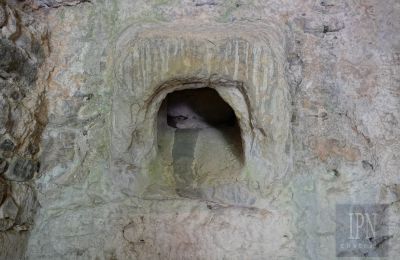 Molino en venta Cortona, strada provinciale 34, Toscana, Imagen 15/35