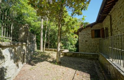 Molino en venta Cortona, strada provinciale 34, Toscana, Imagen 5/35