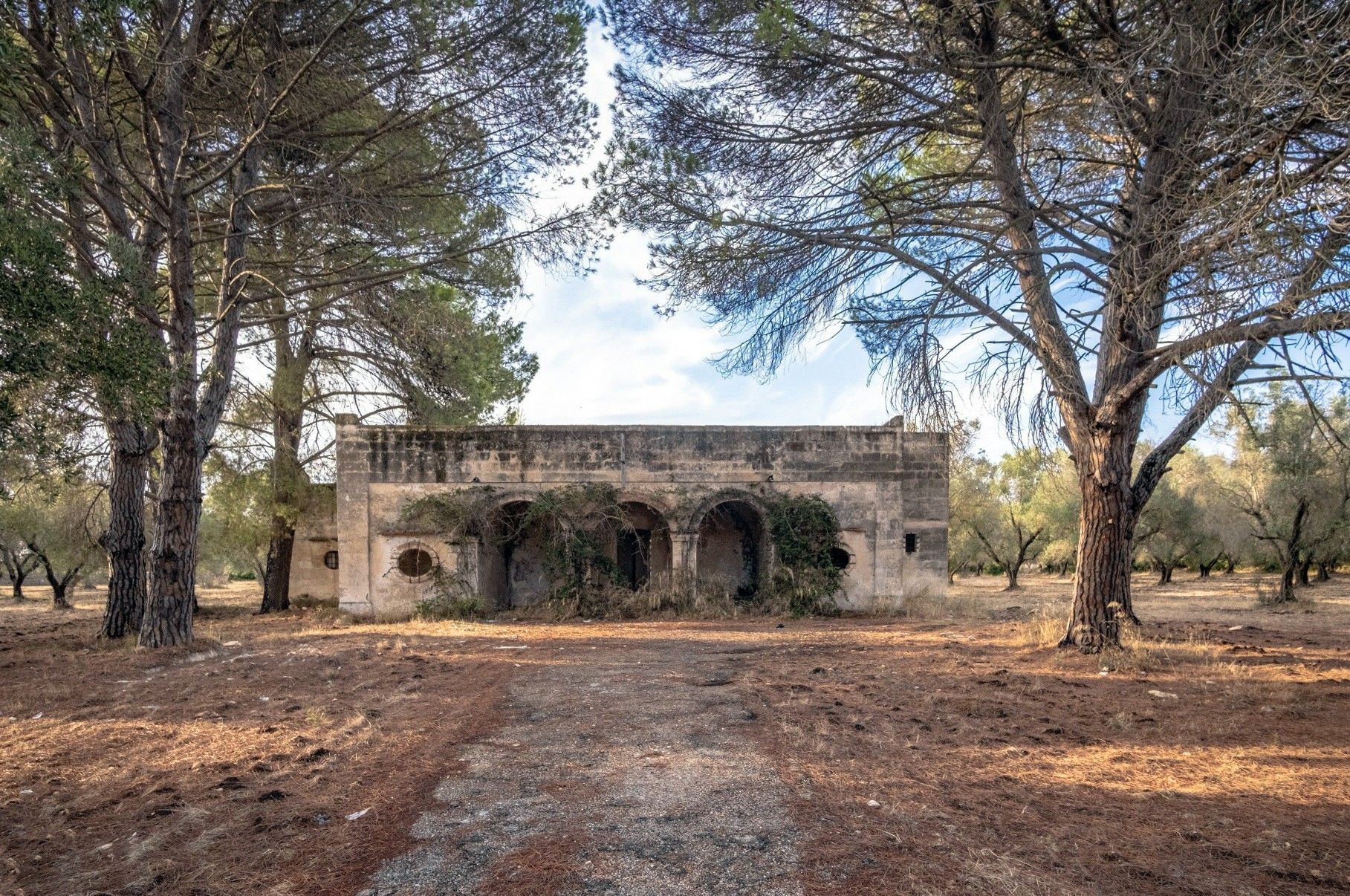 Fotos Pequeña casa de campo histórica cerca de Manduria: proyecto de renovación en Apulia