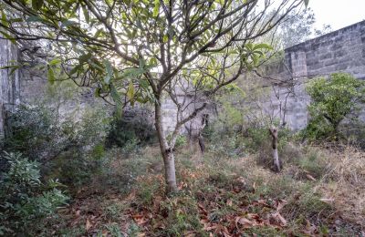 Casa de campo en venta Manduria, Via per Lecce km 2, Apulia, Imagen 20/31