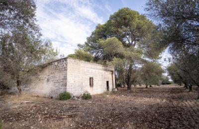 Casa de campo en venta Manduria, Via per Lecce km 2, Apulia, Imagen 25/31