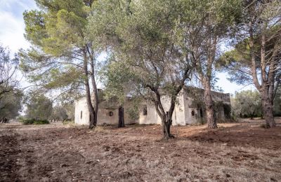 Casa de campo en venta Manduria, Via per Lecce km 2, Apulia, Imagen 27/31