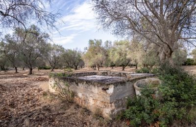 Casa de campo en venta Manduria, Via per Lecce km 2, Apulia, Imagen 28/31