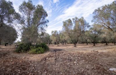 Casa de campo en venta Manduria, Via per Lecce km 2, Apulia, Imagen 29/31