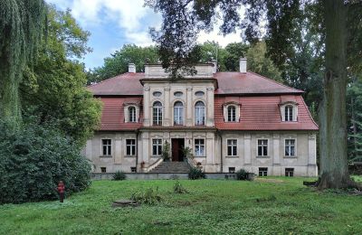 Casa señorial en venta Popowo Stare, Pałac w Popowie Starym, Gran Polonia, Imagen 5/19