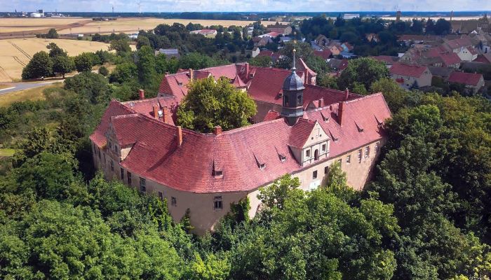 Palacio en venta Mühlberg/Elbe, Brandemburgo