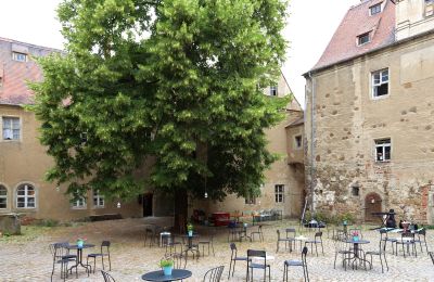 Palacio en venta Mühlberg/Elbe, Schlossplatz 1, Brandemburgo, Imagen 8/20