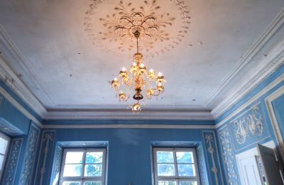 Palacio en venta Siedlec, Pałac w Siedlcu, Gran Polonia, Salón