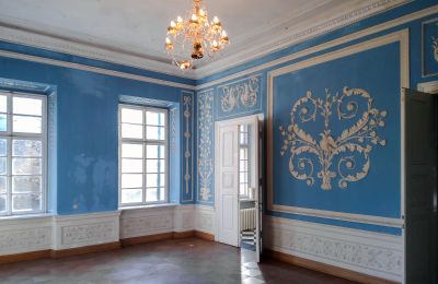 Palacio en venta Siedlec, Pałac w Siedlcu, Gran Polonia, Salón