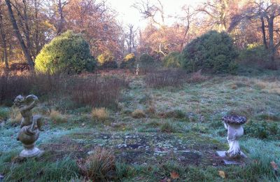 Palacio en venta Siedlec, Pałac w Siedlcu, Gran Polonia, Jardín del Palacio