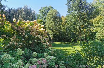 Molino en venta Netvořice, okres Benešov, Imagen 16/21