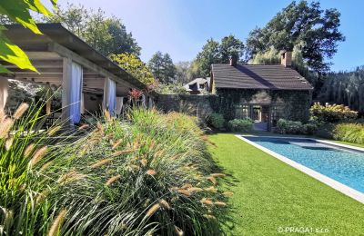 Molino en venta Netvořice, okres Benešov, Imagen 3/21