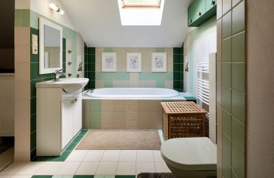 Molino en venta Netvořice, okres Benešov, Imagen 11/21