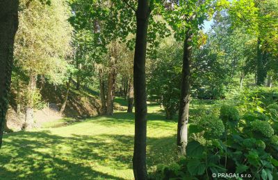 Molino en venta Netvořice, okres Benešov, Imagen 21/21