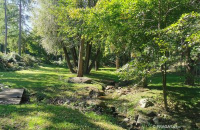 Molino en venta Netvořice, okres Benešov, Imagen 15/21