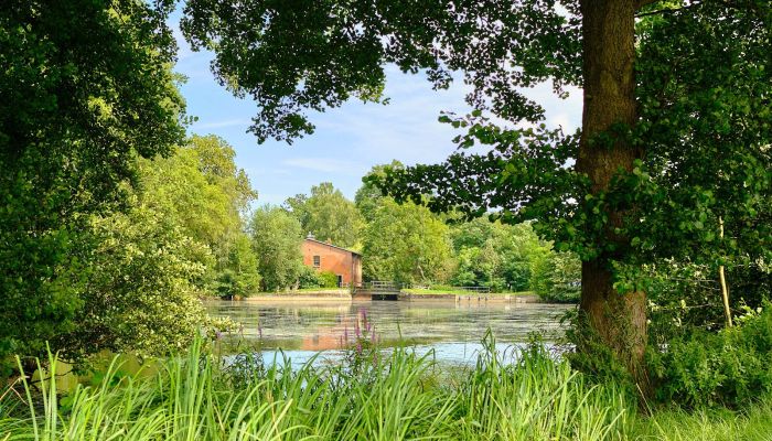 Molino en venta 29451 Dannenberg, Baja Sajonia,  Alemania