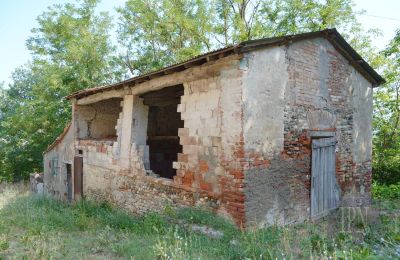 Casa de campo en venta 06010 Citerna, Umbría, Imagen 14/27