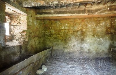 Casa de campo en venta 06010 Citerna, Umbría, Imagen 24/27