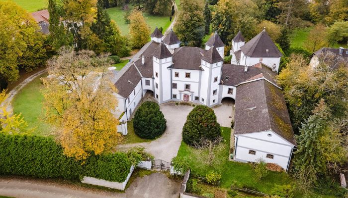 Palacio en venta 4693 Desselbrunn, Alta Austria,  Austria