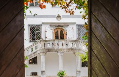 Palacio en venta 4693 Desselbrunn, Alta Austria, Märchenhafter Blick