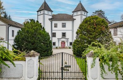 Palacio en venta 4693 Desselbrunn, Alta Austria, Die herrschaftliche Rückansicht im Nordosten des Ensembles