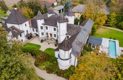 Palacio en venta 4693 Desselbrunn, Alta Austria, Die Südwestansicht samt Poolanlage