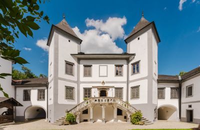 Palacio en venta 4693 Desselbrunn, Alta Austria, Die Nordostansicht
