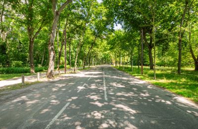 Mansión histórica en venta 1020 Leopoldstadt, Viena, Imagen 14/18