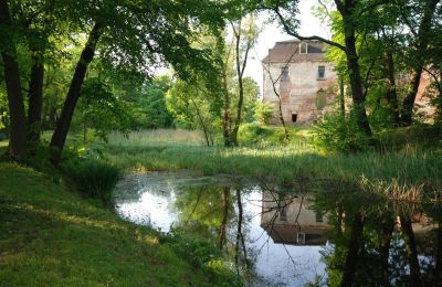 Palacio en venta Komorowice, Wrocławska 27, Baja Silesia, Jardín del Palacio