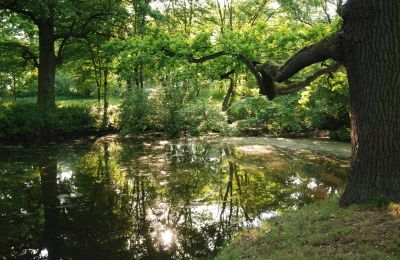 Palacio en venta Komorowice, Wrocławska 27, Baja Silesia, Imagen 15/27