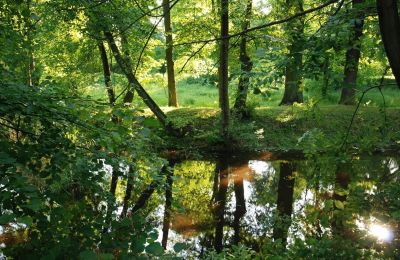 Palacio en venta Komorowice, Wrocławska 27, Baja Silesia, Imagen 18/27