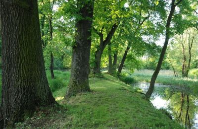 Palacio en venta Komorowice, Wrocławska 27, Baja Silesia, Imagen 19/27