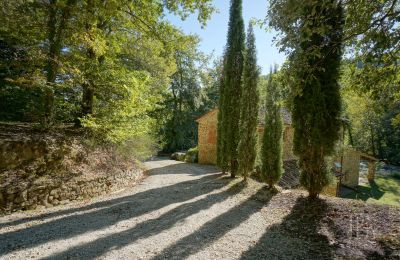 Casa de campo en venta 06019 Umbertide, Umbría, Imagen 22/47