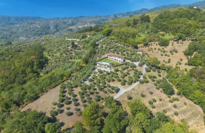 Propiedad histórica en venta Montecatini Terme, Toscana, Imagen 3/20