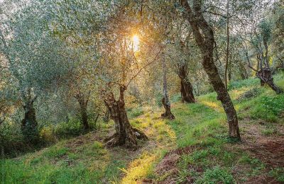 Mansión histórica en venta Loro Ciuffenna, Toscana, Imagen 4/35