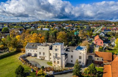 Palacio Trnová, Región de Bohemia Central
