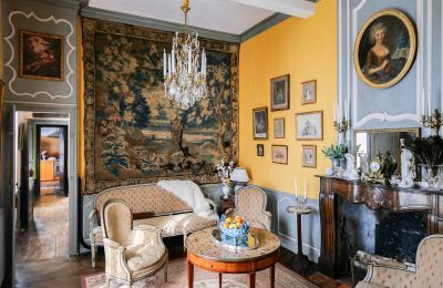 Casa señorial en venta Pau, Nueva Aquitania, Imagen 3/10