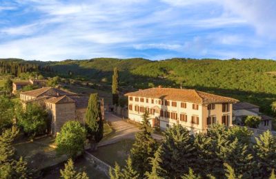 Casa señorial en venta Castellina in Chianti, Toscana, Imagen 28/29